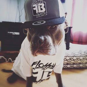 Meet your Posher, Toni